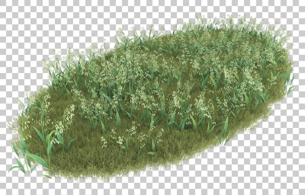 Gras auf transparentem hintergrund. 3d-rendering - abbildung