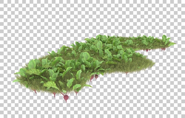 Gras auf transparentem Hintergrund. 3D-Rendering - Abbildung