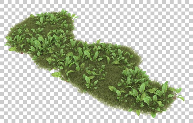 Gras auf transparentem Hintergrund. 3D-Rendering - Abbildung