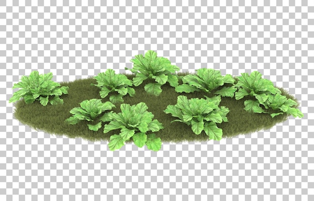 Gras auf transparentem hintergrund. 3d-rendering - abbildung