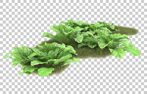 Gras auf transparentem Hintergrund. 3D-Rendering - Abbildung