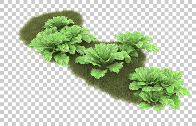 Gras auf transparentem Hintergrund. 3D-Rendering - Abbildung