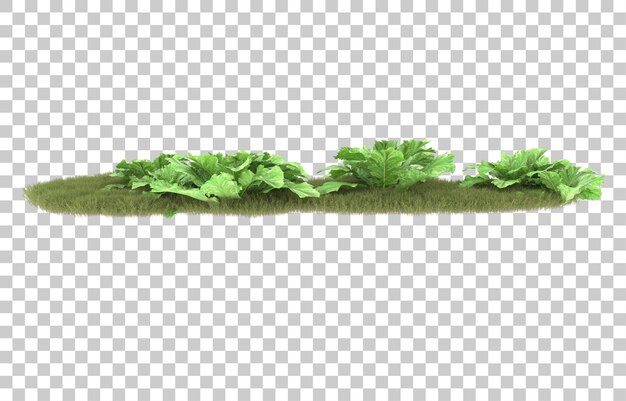 Gras auf transparentem Hintergrund. 3D-Rendering - Abbildung