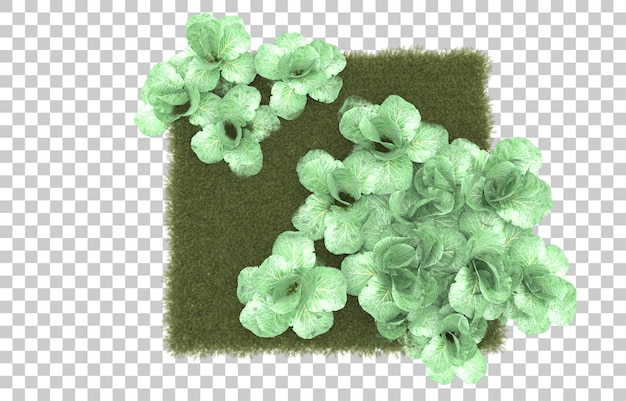 Gras auf transparentem Hintergrund. 3D-Rendering - Abbildung