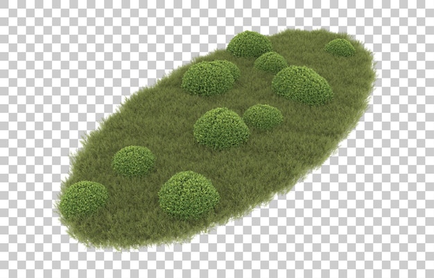 Gras auf transparentem hintergrund. 3d-rendering - abbildung