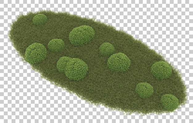 Gras auf transparentem Hintergrund. 3D-Rendering - Abbildung