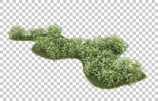 Gras auf transparentem Hintergrund. 3D-Rendering - Abbildung