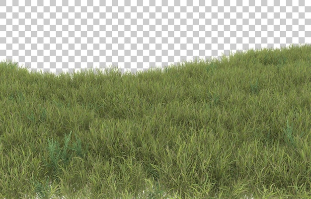 Gras auf transparentem Hintergrund. 3D-Rendering - Abbildung