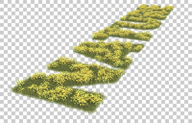 Gras auf transparentem Hintergrund. 3D-Rendering - Abbildung