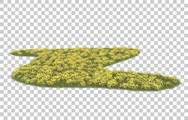 Gras auf transparentem Hintergrund. 3D-Rendering - Abbildung