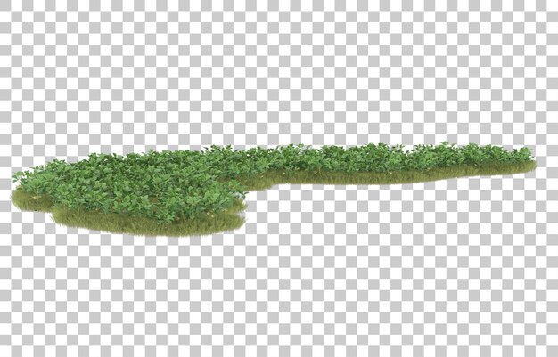 Gras auf transparentem Hintergrund. 3D-Rendering - Abbildung