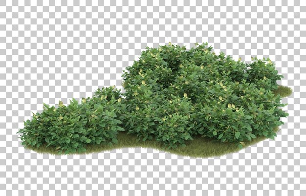 Gras auf transparentem Hintergrund. 3D-Rendering - Abbildung