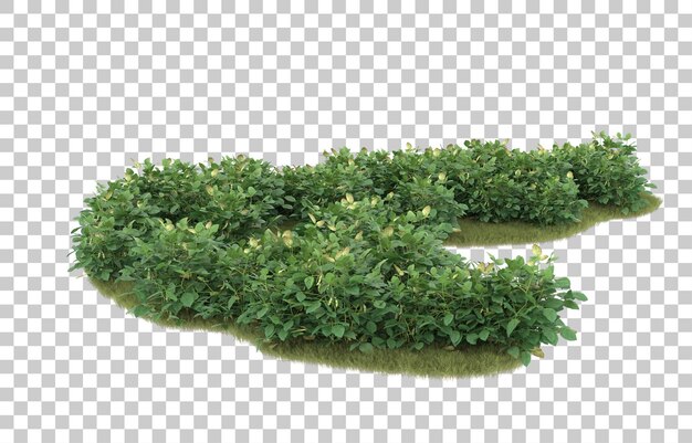 Gras auf transparentem Hintergrund. 3D-Rendering - Abbildung