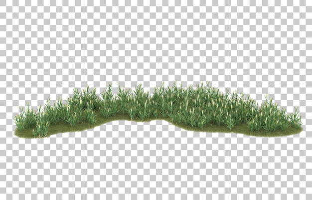 Gras auf transparentem Hintergrund. 3D-Rendering - Abbildung