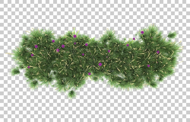 Gras auf transparentem Hintergrund. 3D-Rendering - Abbildung