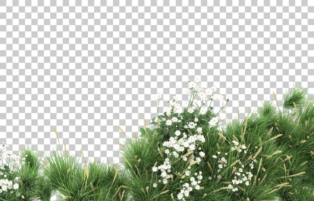 Gras auf transparentem Hintergrund. 3D-Rendering - Abbildung