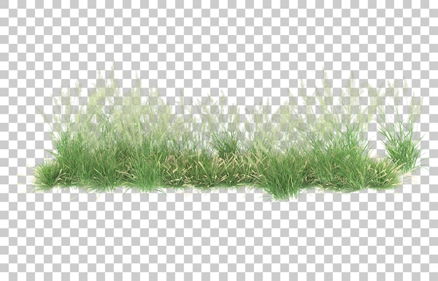 Gras auf transparentem Hintergrund. 3D-Rendering - Abbildung