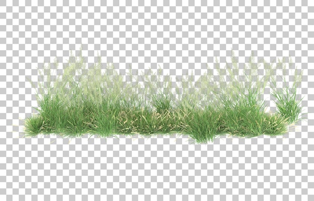 Gras auf transparentem hintergrund. 3d-rendering - abbildung