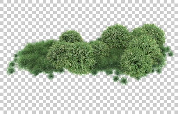 Gras auf transparentem hintergrund. 3d-rendering - abbildung