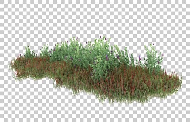 PSD gras auf transparentem hintergrund. 3d-rendering - abbildung