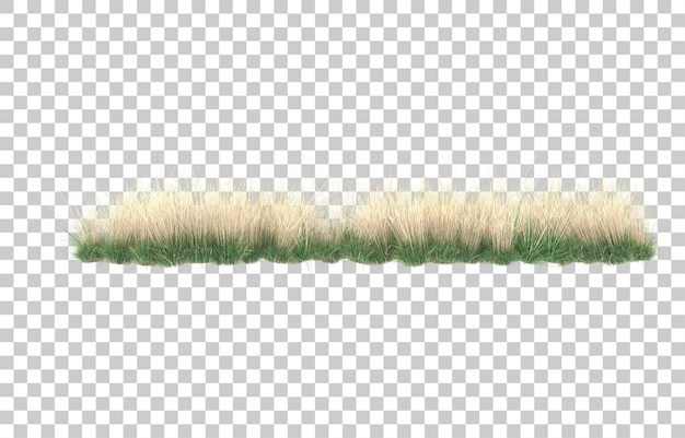 Gras auf transparentem Hintergrund. 3D-Rendering - Abbildung