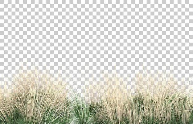 Gras auf transparentem hintergrund. 3d-rendering - abbildung