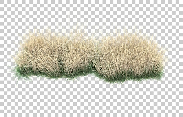 Gras auf transparentem Hintergrund. 3D-Rendering - Abbildung