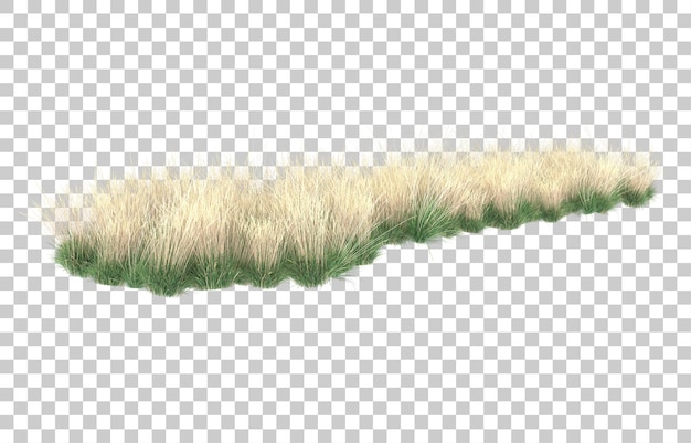 Gras auf transparentem hintergrund. 3d-rendering - abbildung