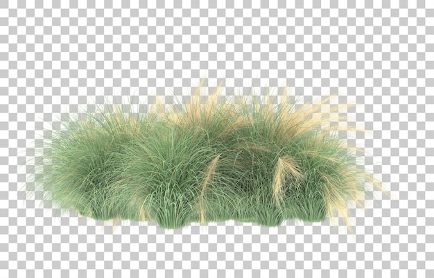 Gras auf transparentem Hintergrund. 3D-Rendering - Abbildung