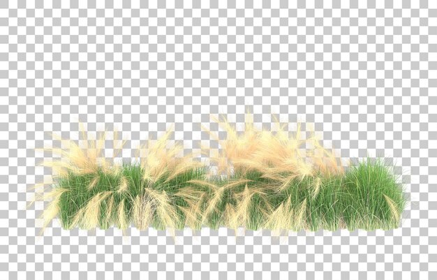 Gras auf transparentem Hintergrund. 3D-Rendering - Abbildung