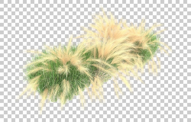 Gras auf transparentem Hintergrund. 3D-Rendering - Abbildung