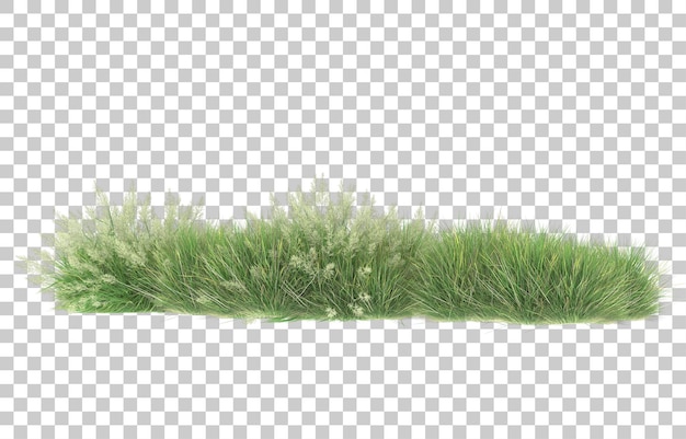 Gras auf transparentem hintergrund. 3d-rendering - abbildung