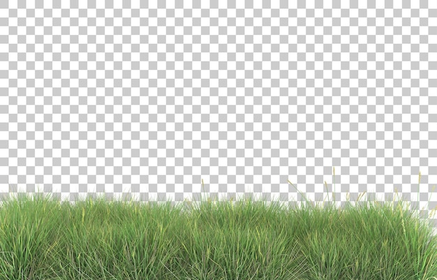 Gras auf transparentem hintergrund. 3d-rendering - abbildung