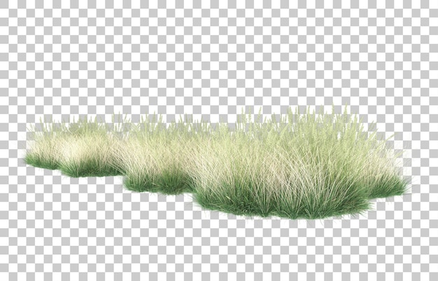 Gras auf transparentem Hintergrund. 3D-Rendering - Abbildung
