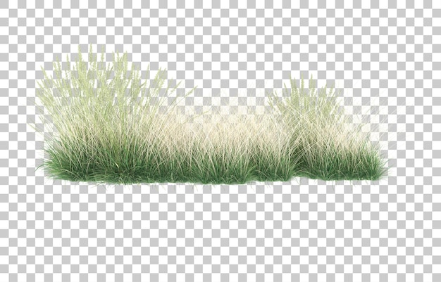 Gras auf transparentem Hintergrund. 3D-Rendering - Abbildung