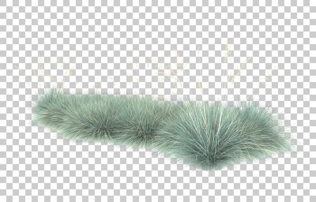 Gras auf transparentem Hintergrund. 3D-Rendering - Abbildung