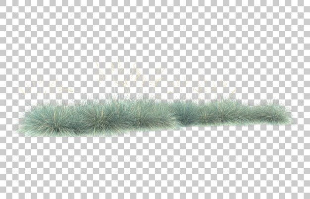 Gras auf transparentem Hintergrund. 3D-Rendering - Abbildung