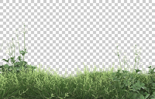 Gras auf transparentem hintergrund. 3d-rendering - abbildung