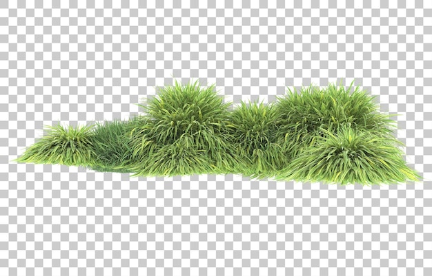 Gras auf transparentem Hintergrund. 3D-Rendering - Abbildung
