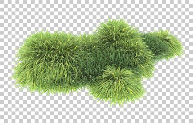 Gras auf transparentem Hintergrund. 3D-Rendering - Abbildung