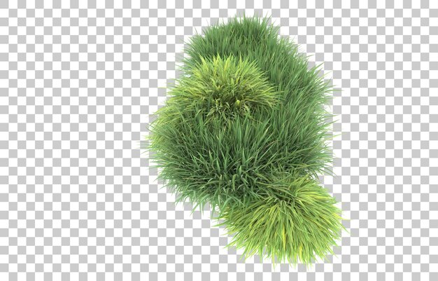 Gras auf transparentem Hintergrund. 3D-Rendering - Abbildung