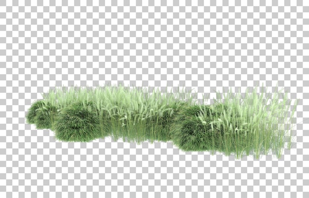 Gras auf transparentem Hintergrund. 3D-Rendering - Abbildung