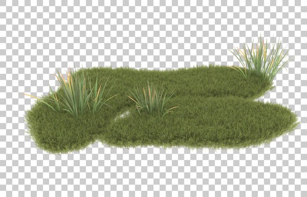Gras auf transparentem Hintergrund. 3D-Rendering - Abbildung