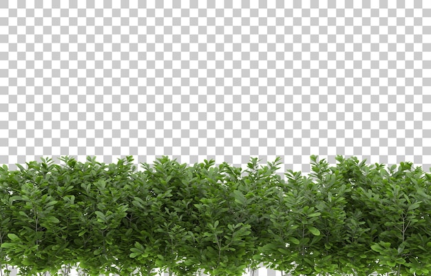 Gras auf transparentem Hintergrund. 3D-Rendering - Abbildung