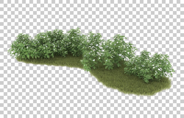 Gras auf transparentem Hintergrund. 3D-Rendering - Abbildung