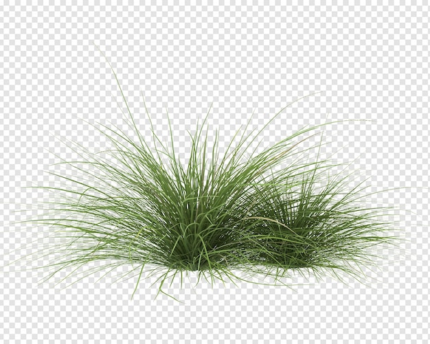 Gras in 3D-Rendering isoliert