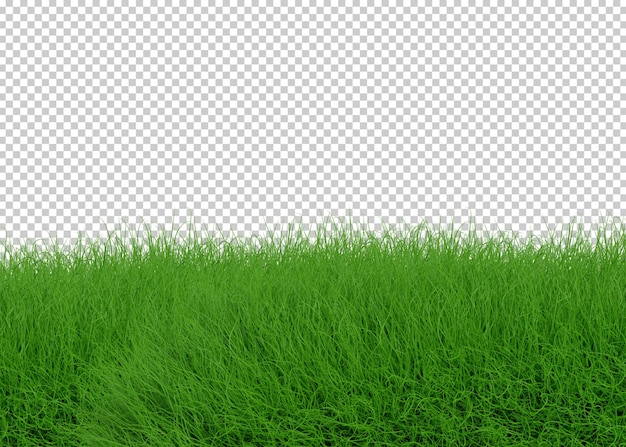 Gras isoliert transparenz hintergrund