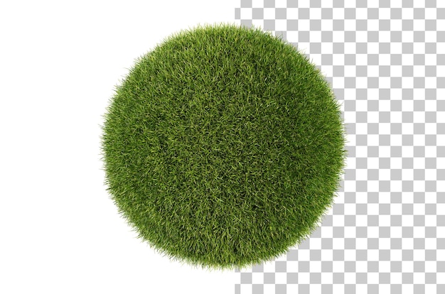 Gras-kugel isoliert auf weißem hintergrund gras-kreis 3d-rendering