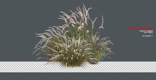 Gras mit bunten Blumen auf transparentem Hintergrund