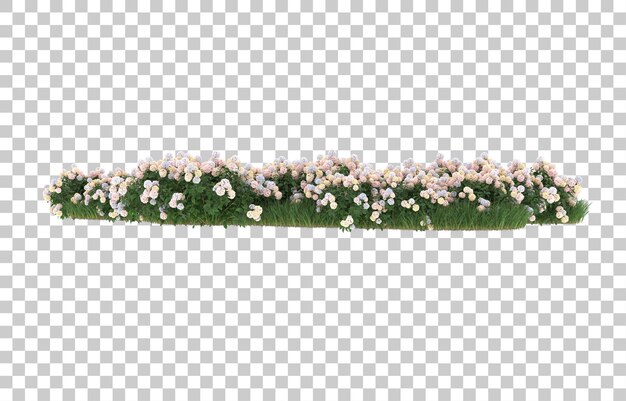 Gras und Blumen auf transparentem Hintergrund. 3D-Rendering - Abbildung